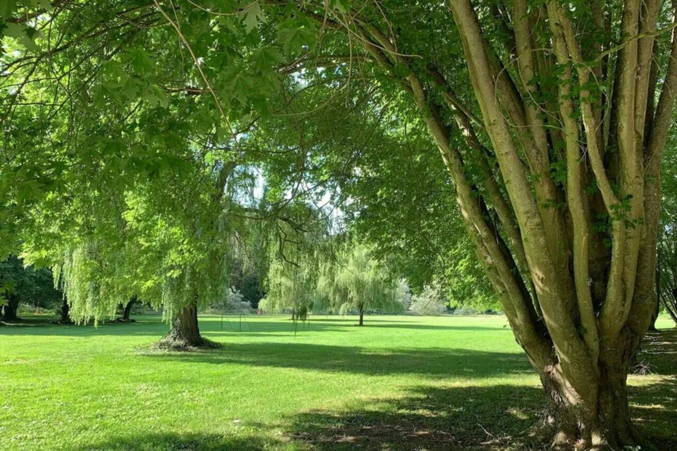 Le parc de 4 hectares du Domaine