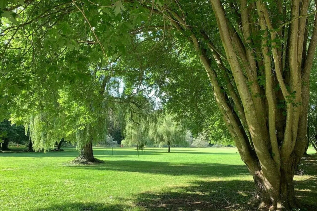 Le parc arboré du Domaine des Rives d'Ormoy, cadre idéal pour un week-end en famille
