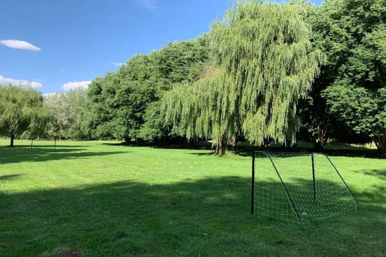 La prairie et le saule pleureur du parc
