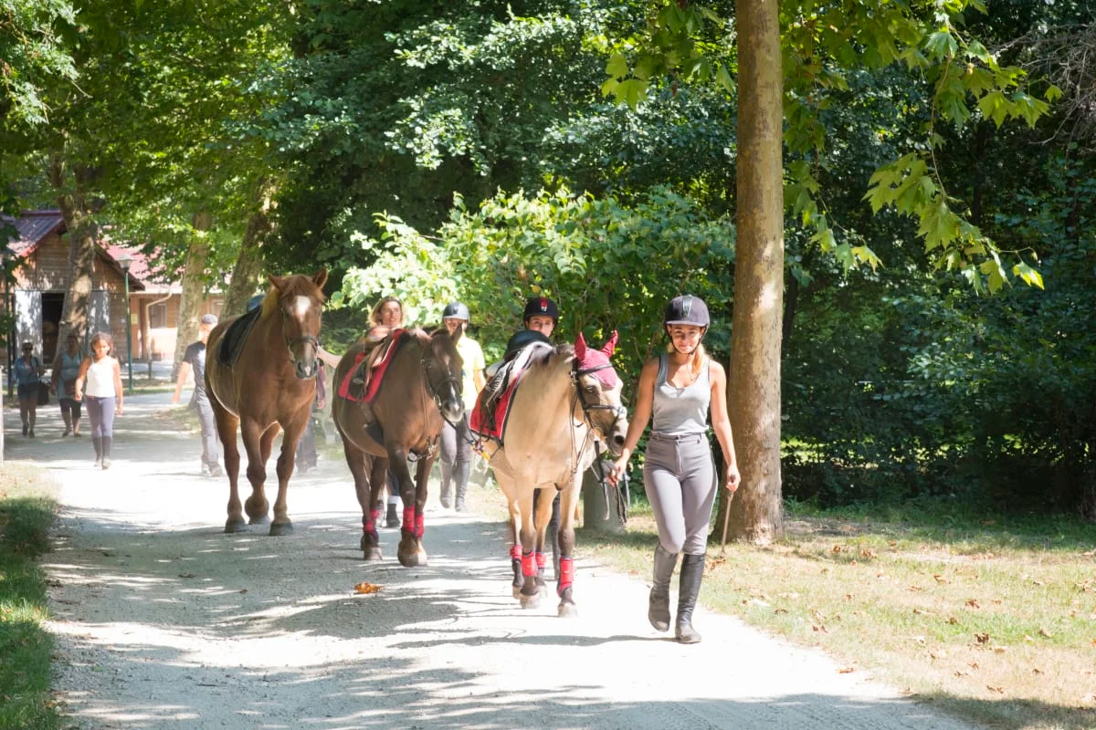 Poney Club
